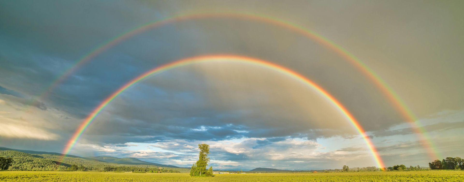 Crop Field Under Rainbow and Cloudy Skies at Dayime